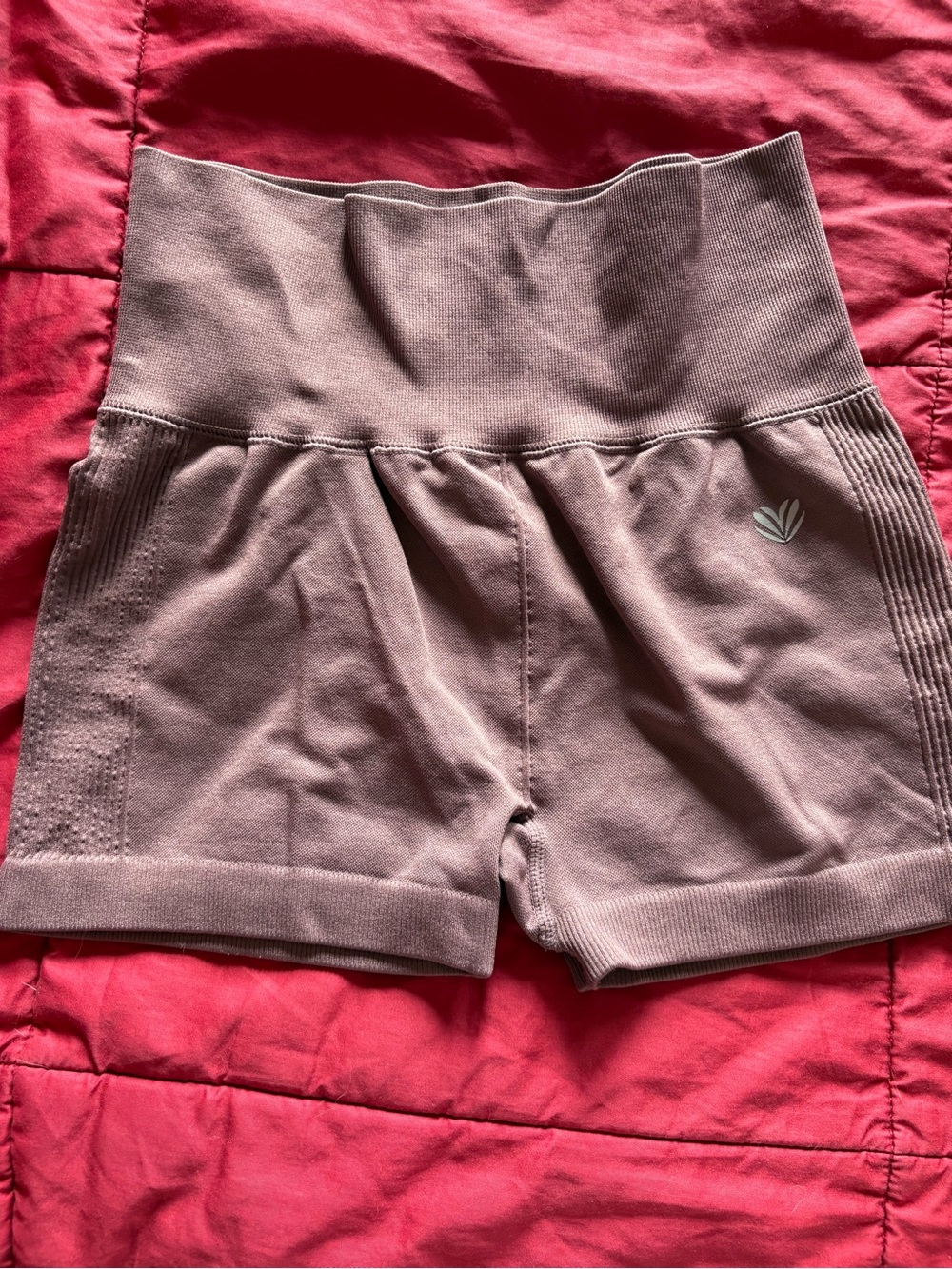 Forever 21 Mauve High-Rise Bike Shorts